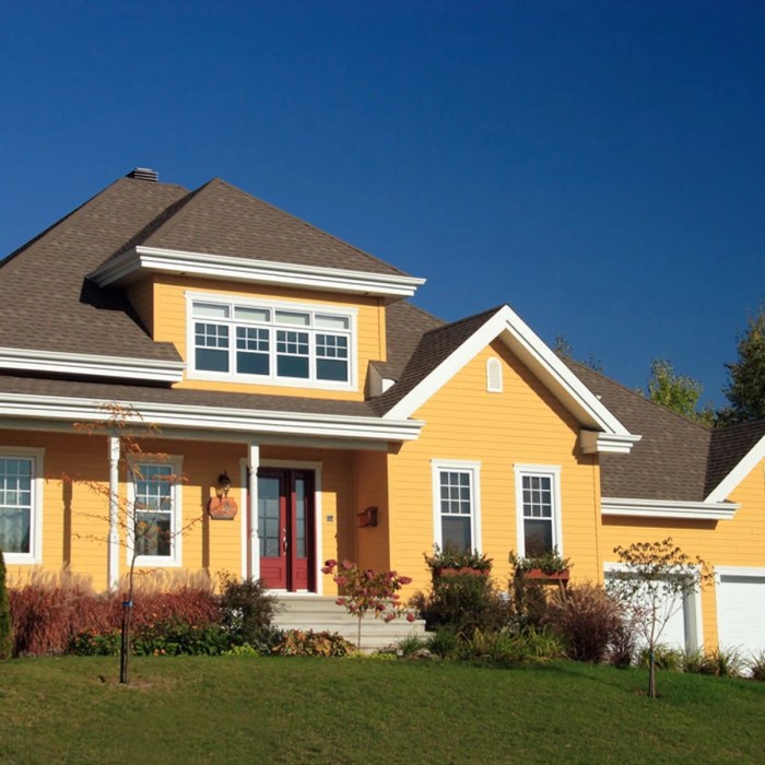 Best Exterior House Paint