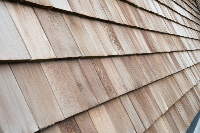 Cedar Siding Pros And Cons