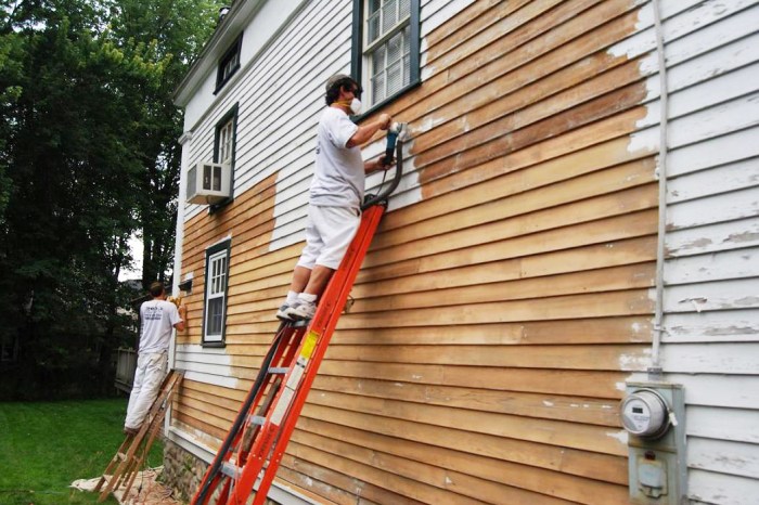 Exterior Siding Paint Ideas