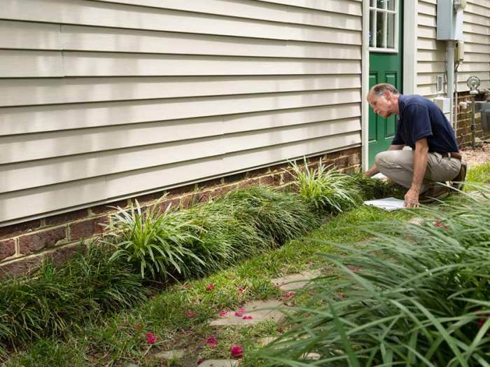 Siding Maintenance