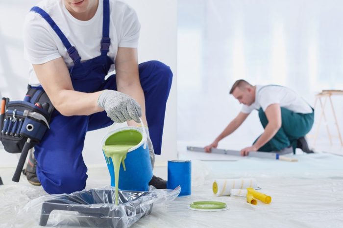 Expert House Painters